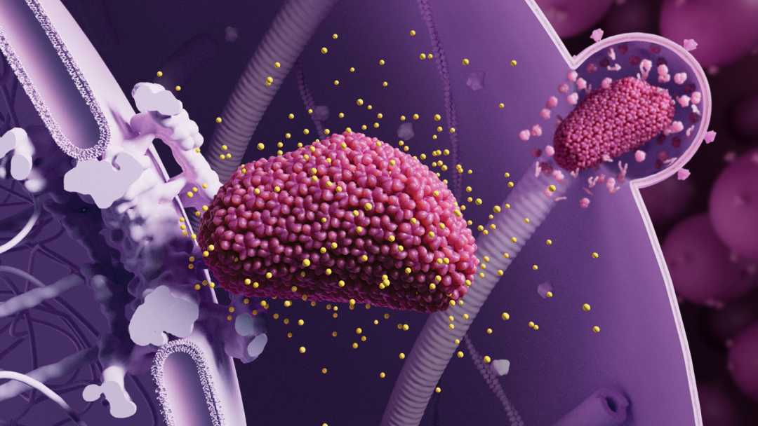 New HIV Prevention Drug Shows Stunning Efficacy: Just Two Shots a Year